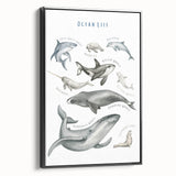 Ocean Life Kids Educational Wall Art - Learning Poster for Classrooms