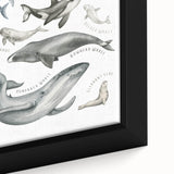 Ocean Life Kids Educational Wall Art - Learning Poster for Classrooms