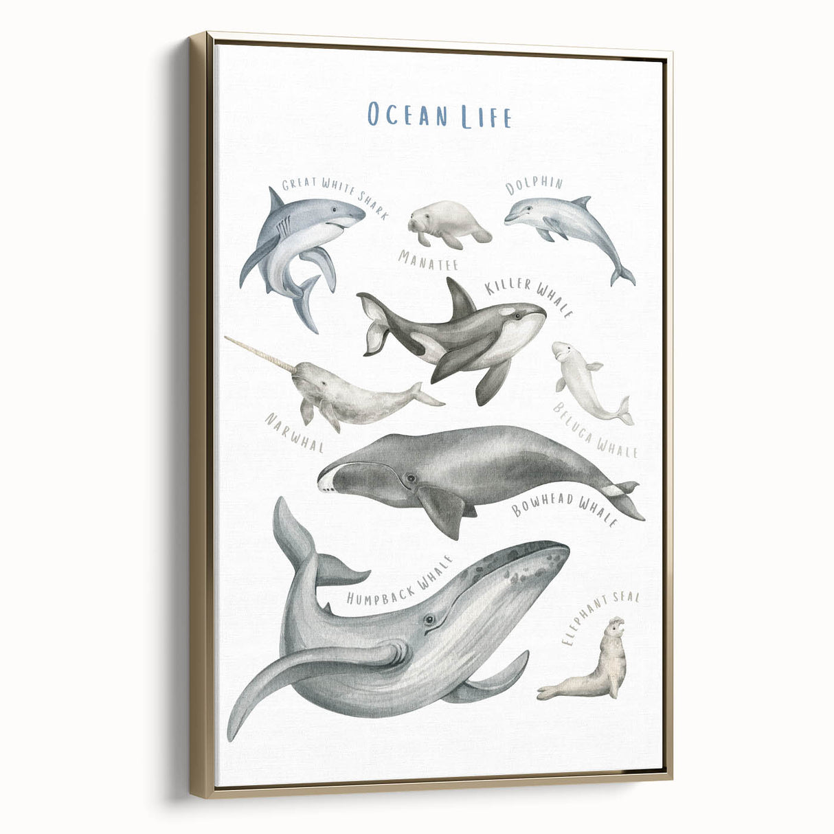 Ocean Life Kids Educational Wall Art - Learning Poster for Classrooms