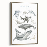 Ocean Life Kids Educational Wall Art - Learning Poster for Classrooms
