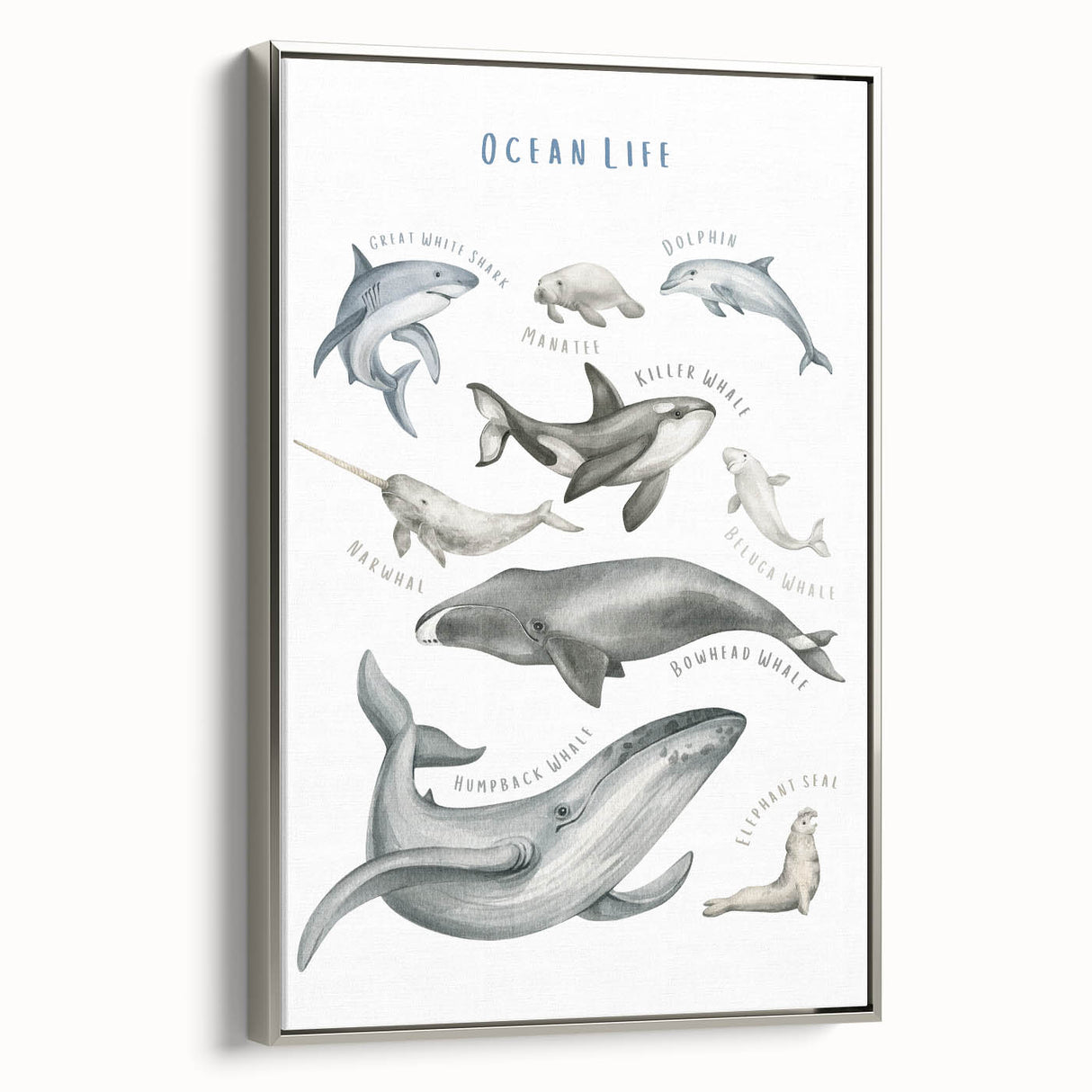 Ocean Life Kids Educational Wall Art - Learning Poster for Classrooms