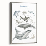 Ocean Life Kids Educational Wall Art - Learning Poster for Classrooms