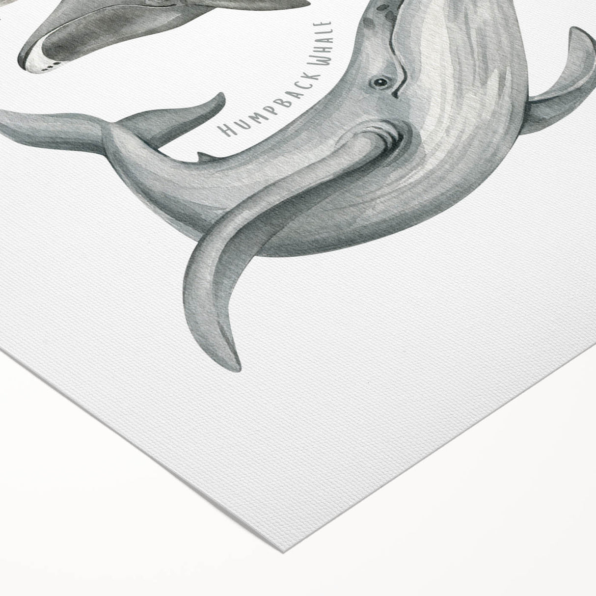 Ocean Life Kids Educational Wall Art - Learning Poster for Classrooms