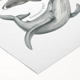 Ocean Life Kids Educational Wall Art - Learning Poster for Classrooms