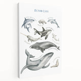 Ocean Life Kids Educational Wall Art - Learning Poster for Classrooms