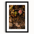 Extra large abstract art print featuring textured, colorful foliage, in a black frame, ideal for living room decor.