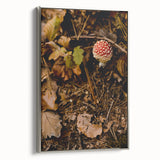 Framed canvas landscape painting depicting fall trees in vibrant oranges and reds, ideal for living room decor.