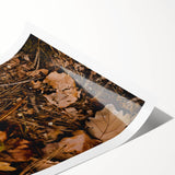 Extra large wall art featuring line art flowers in muted fall colors on a rolled print, suitable for large living room decor.