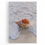 Black and white abstract kitchen art on stretched canvas, featuring fluid, organic shapes.