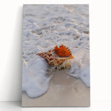 Black and white large canvas art featuring abstract summer theme, ideal for kitchen wall art or bedroom ambiance.