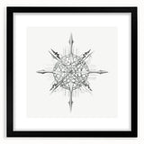 Modern Wall Art – Intricate Vintage Marine Life Illustration