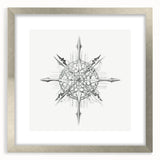 Modern Wall Art – Intricate Vintage Marine Life Illustration