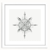 Modern Wall Art – Intricate Vintage Marine Life Illustration