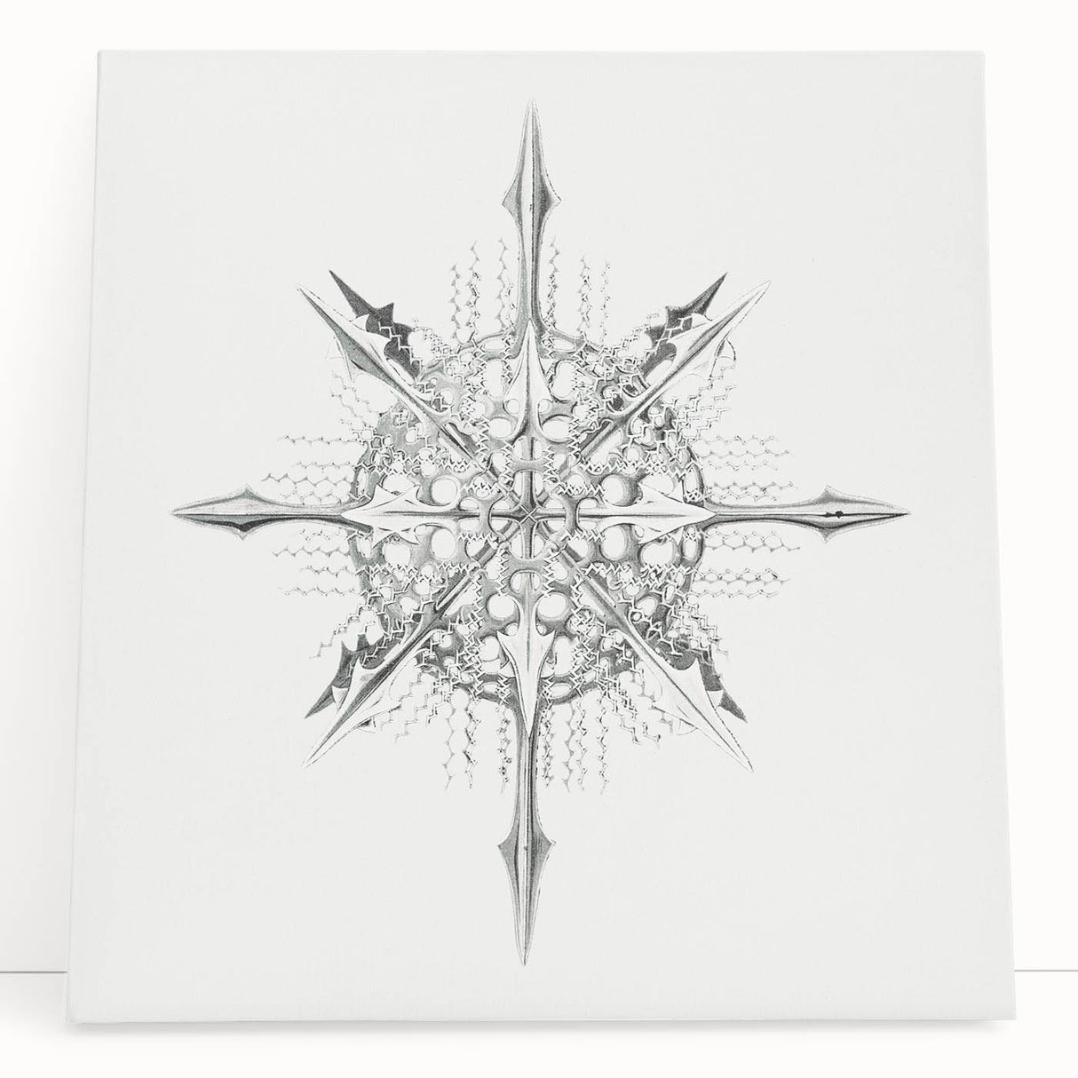 Modern Wall Art – Intricate Vintage Marine Life Illustration