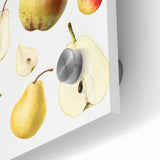 Large abstract wall art featuring an array of colorful fruits on acrylic glass, suitable for dining room decor.