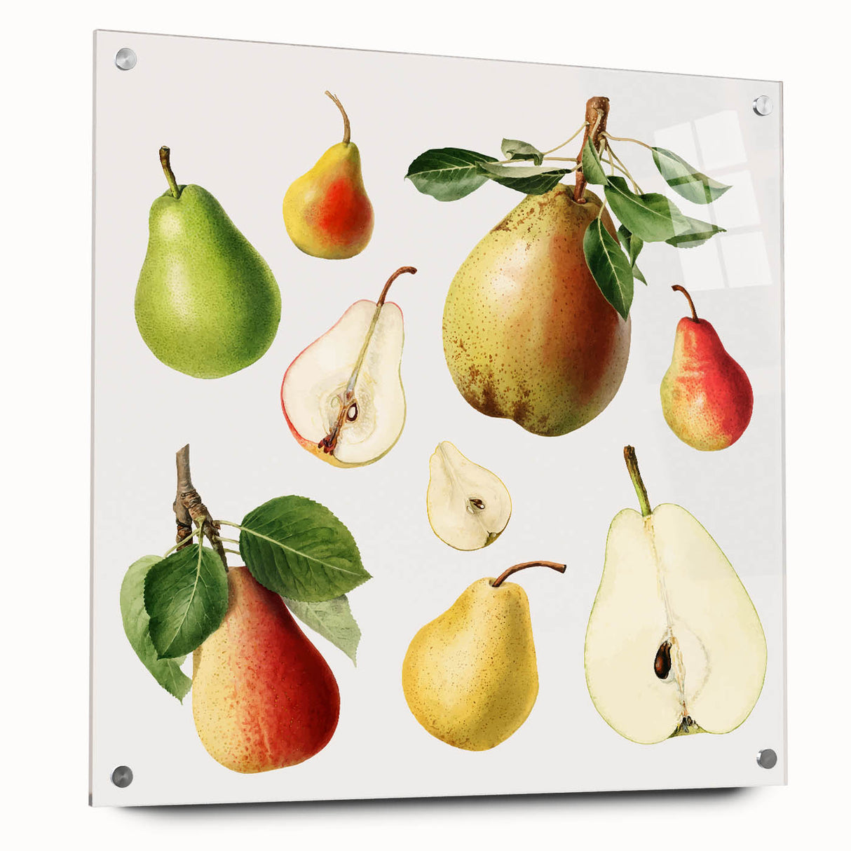 Large abstract wall art of assorted fruits in vibrant colors, printed on acrylic glass, suitable for dining room decor.
