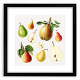 Extra large abstract art print featuring a colorful array of fruits on textured canvas, framed in black.