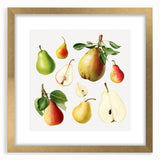 Extra large abstract art print featuring textured fruits in vibrant colors, framed in gold, ideal for living room decor.