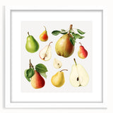 Abstract art print featuring assorted fruits in vibrant colors on a white framed canvas, suitable for dining room decor.
