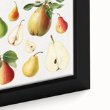 Close-up of black wall art featuring colorful, textured fruits on extra large framed canvas, ideal for living room decor.