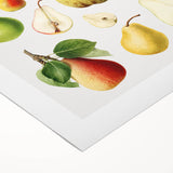 Art deco poster featuring an assortment of fruits in vibrant colors on a rolled canvas, ideal for dining room decor.
