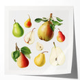 Extra large rolled print of a vibrant fruit arrangement in pastel shades, ideal for art wall dining room or bathroom.