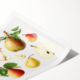 Extra large wall art featuring line art flowers in black on a white background, ideal for large living room decor.