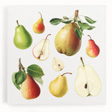 Black and white stretched canvas featuring an array of fruits, ideal for kitchen wall art.