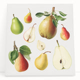 Large black and white stretched canvas featuring an assortment of fruits, ideal for kitchen wall art.