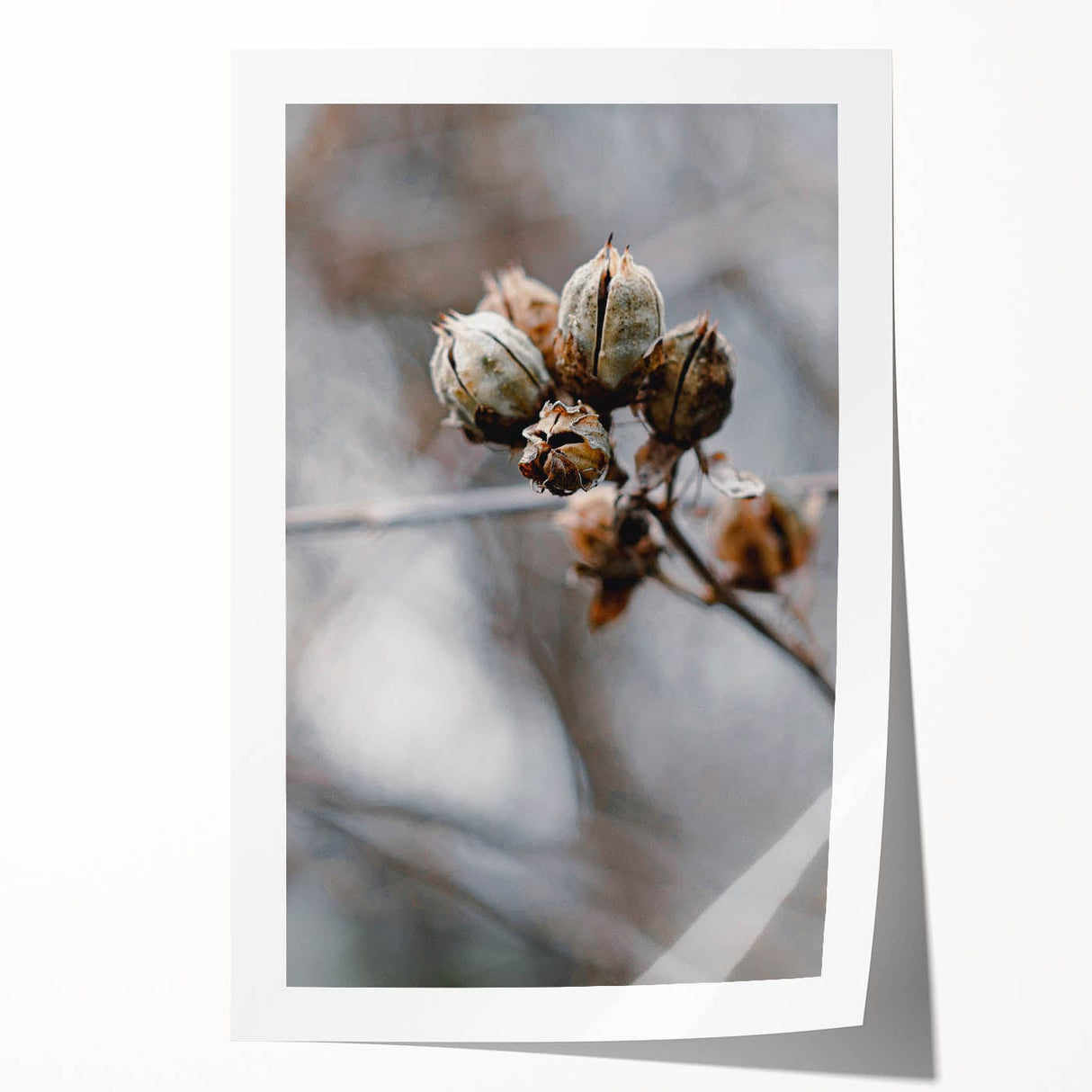 Extra large rolled print featuring a floral design in autumn hues, ideal for art wall dining room placement.
