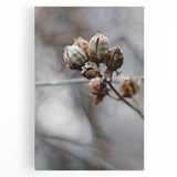 Large black and white abstract depiction of fall trees on stretched canvas, suitable for kitchen wall art.