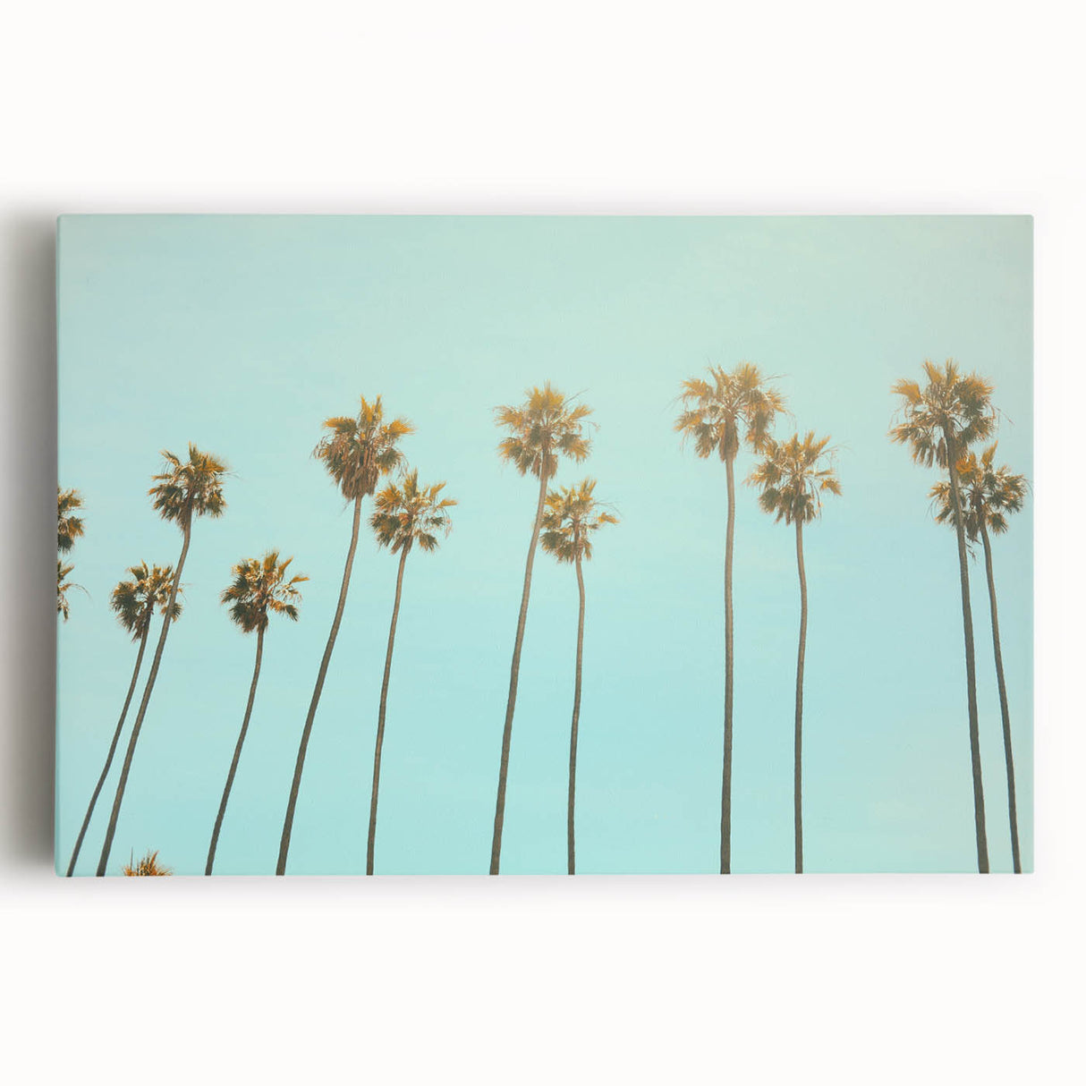 Large black and white stretched canvas of a summer scene, ideal for kitchen wall art.