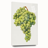 Large abstract wall art featuring assorted fruits in vivid colors, printed on acrylic glass.