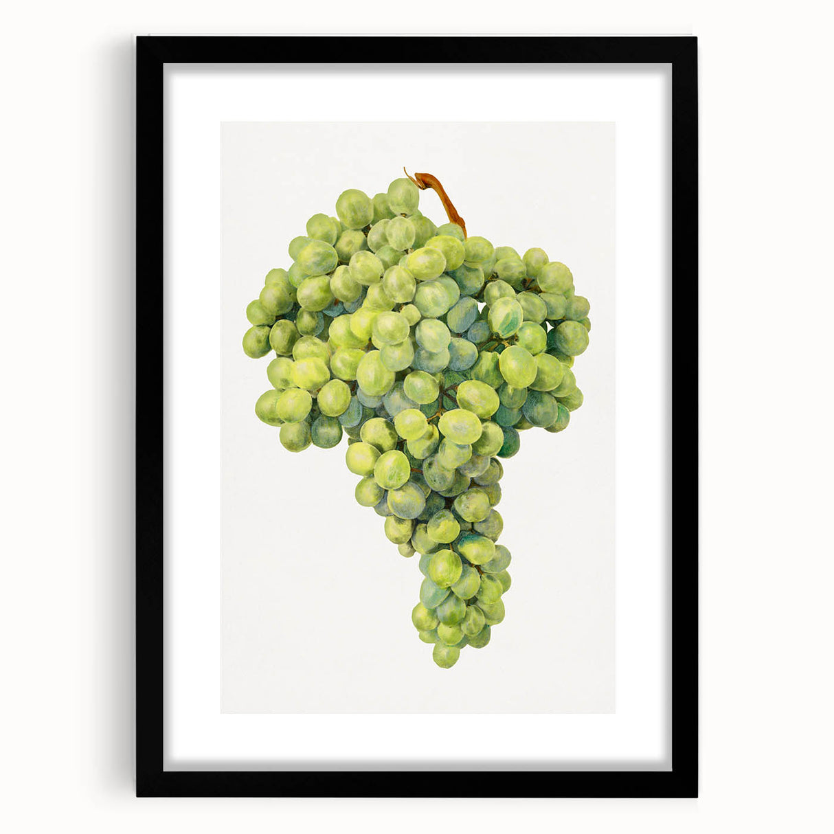 Extra large abstract art print featuring vibrant, colorful fruit motifs on a textured canvas, framed in black.
