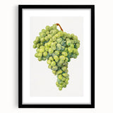 Extra large abstract art print featuring vibrant, colorful fruit motifs on a textured canvas, framed in black.