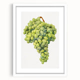 Abstract art print of assorted fruits in vibrant colors on a white framed mat, ideal for dining room decor.