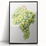 Large abstract wall art featuring colorful fruit motifs on a black acrylic framed print, suitable for modern kitchen decor.