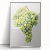 Acrylic print of assorted fruits in art deco style with a white frame, suitable for modern nursery decor.