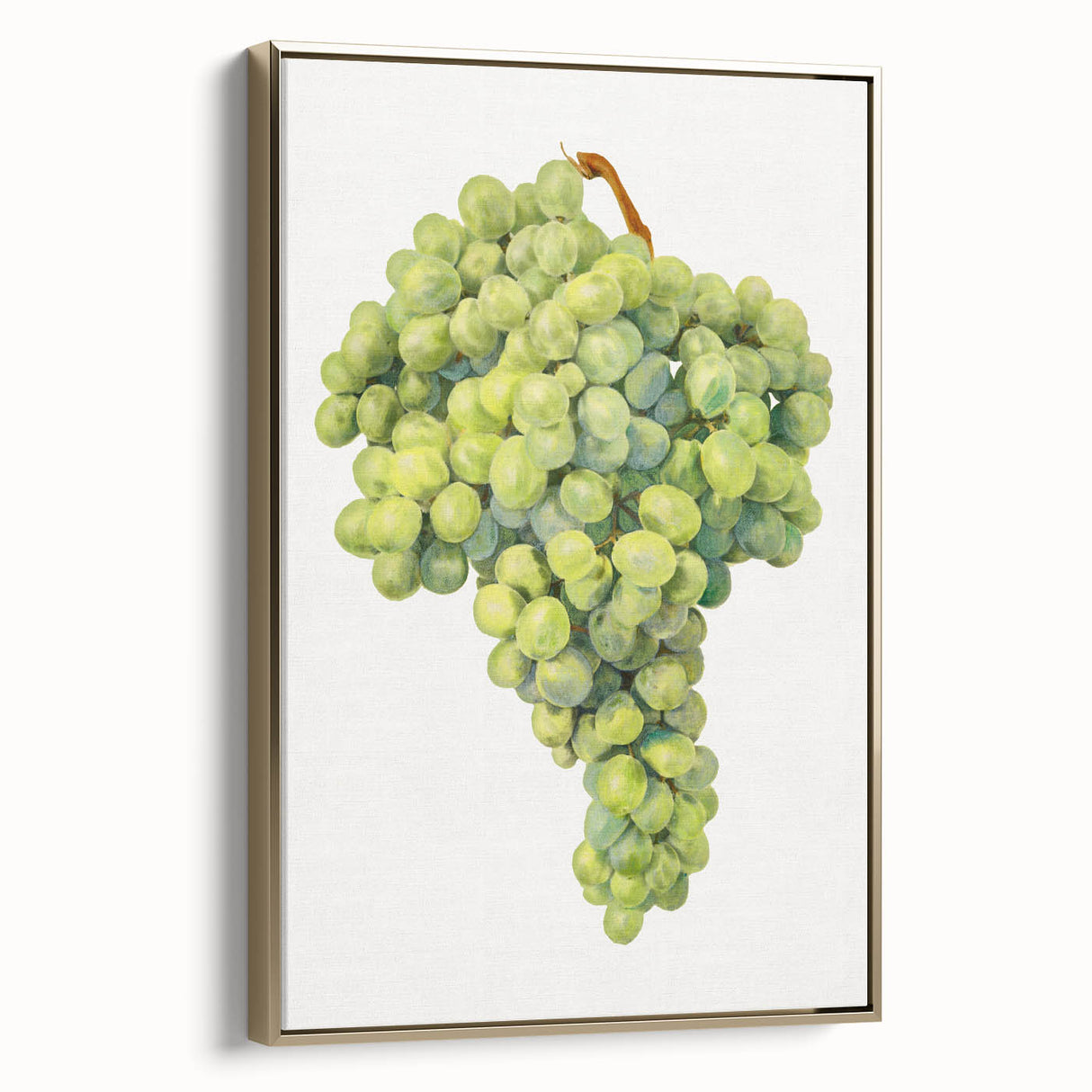 Vintage poster art of colorful fruits arranged horizontally, framed in gold, ideal for bedroom wall decor.