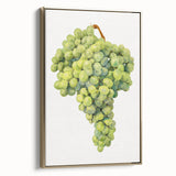 Vintage poster art of colorful fruits arranged horizontally, framed in gold, ideal for bedroom wall decor.