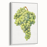 Extra large framed canvas vintage poster art of colorful fruits against a black background, ideal for living room decor.