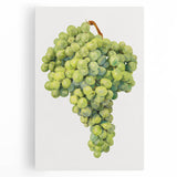 Black and white large art canvas featuring assorted fruits, ideal for kitchen wall art.