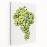 Large canvas print featuring an array of vibrant fruits, ideal for kitchen wall art.