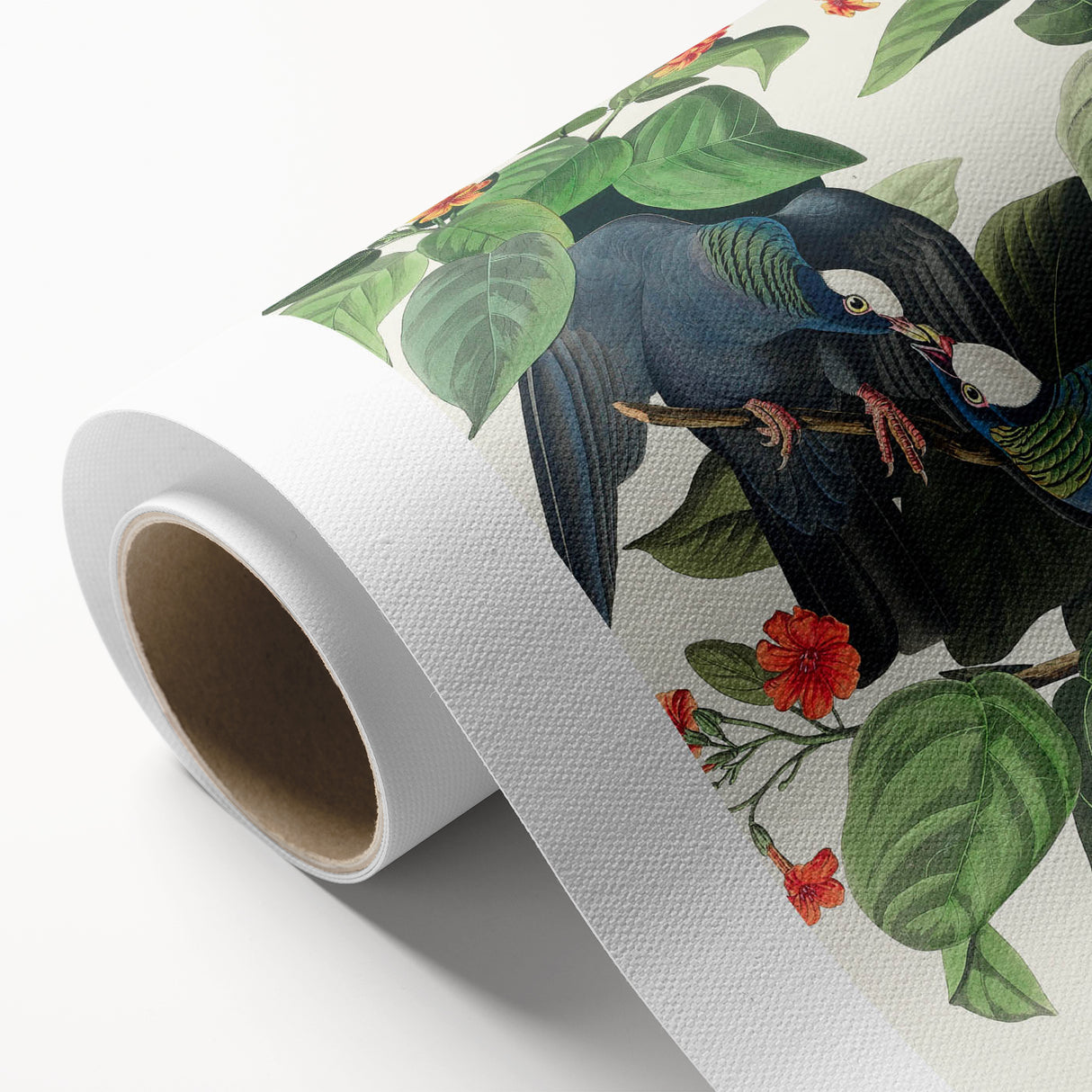 White-crowned Pigeon Art Print - Audubon Birds of America Botanical Decor