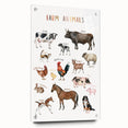 Farm Animals Kids Educational Wall Art - Learning Poster for Classrooms