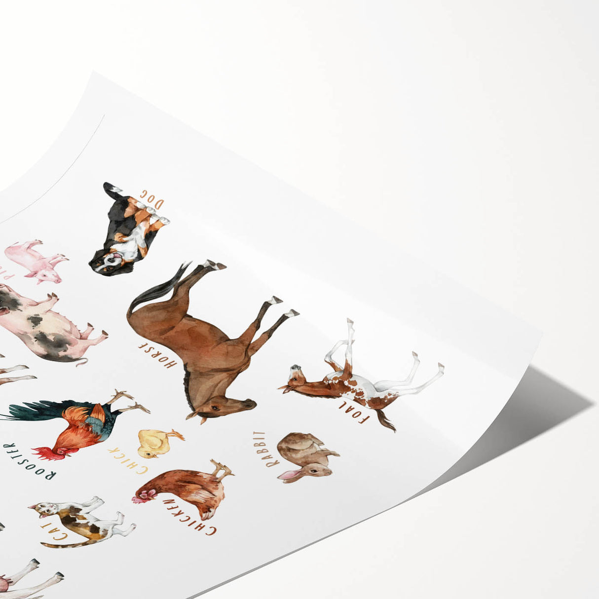 Farm Animals Kids Educational Wall Art - Learning Poster for Classrooms