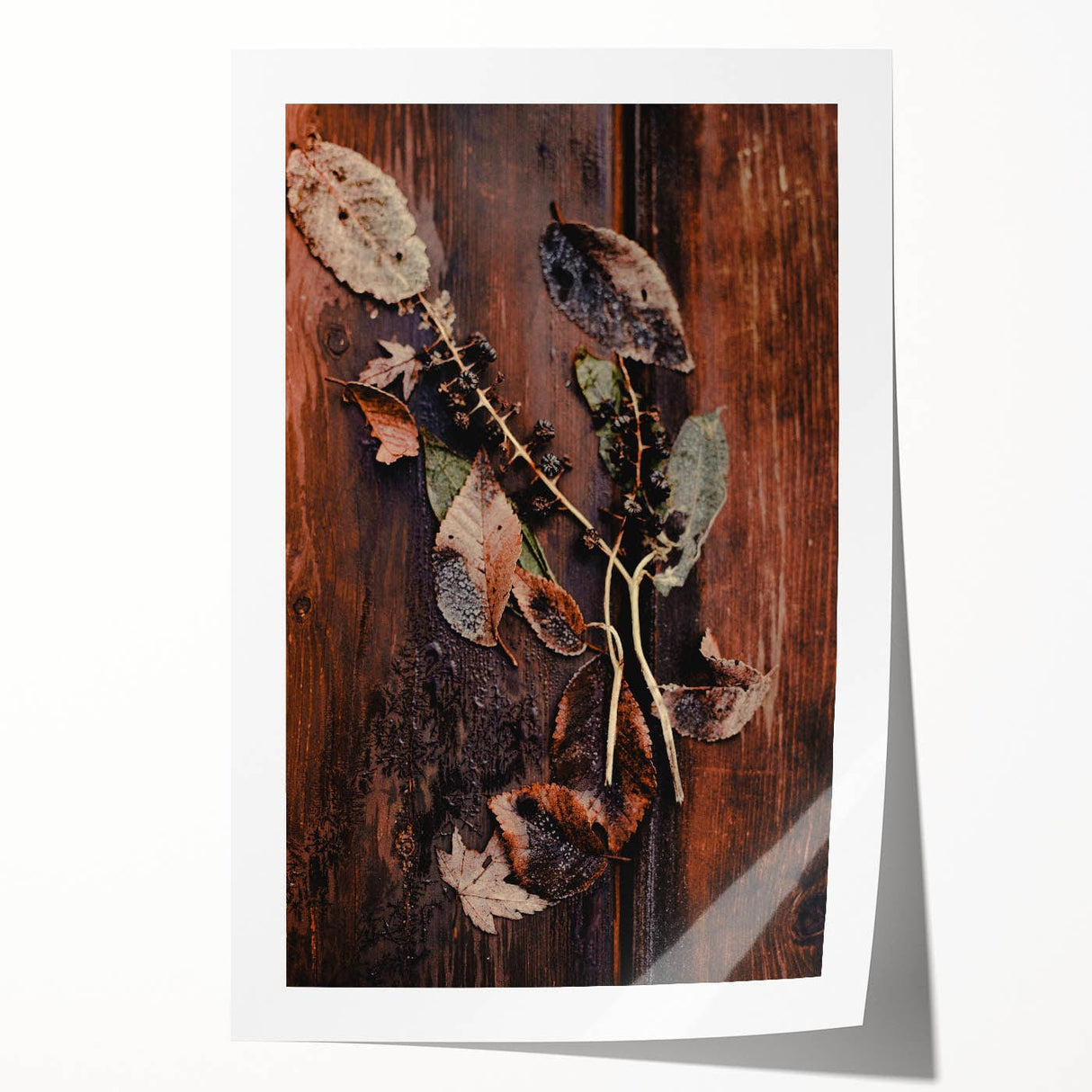 Extra large rolled print of a fall-themed floral arrangement in warm orange and brown tones, ideal for dining room wall art.