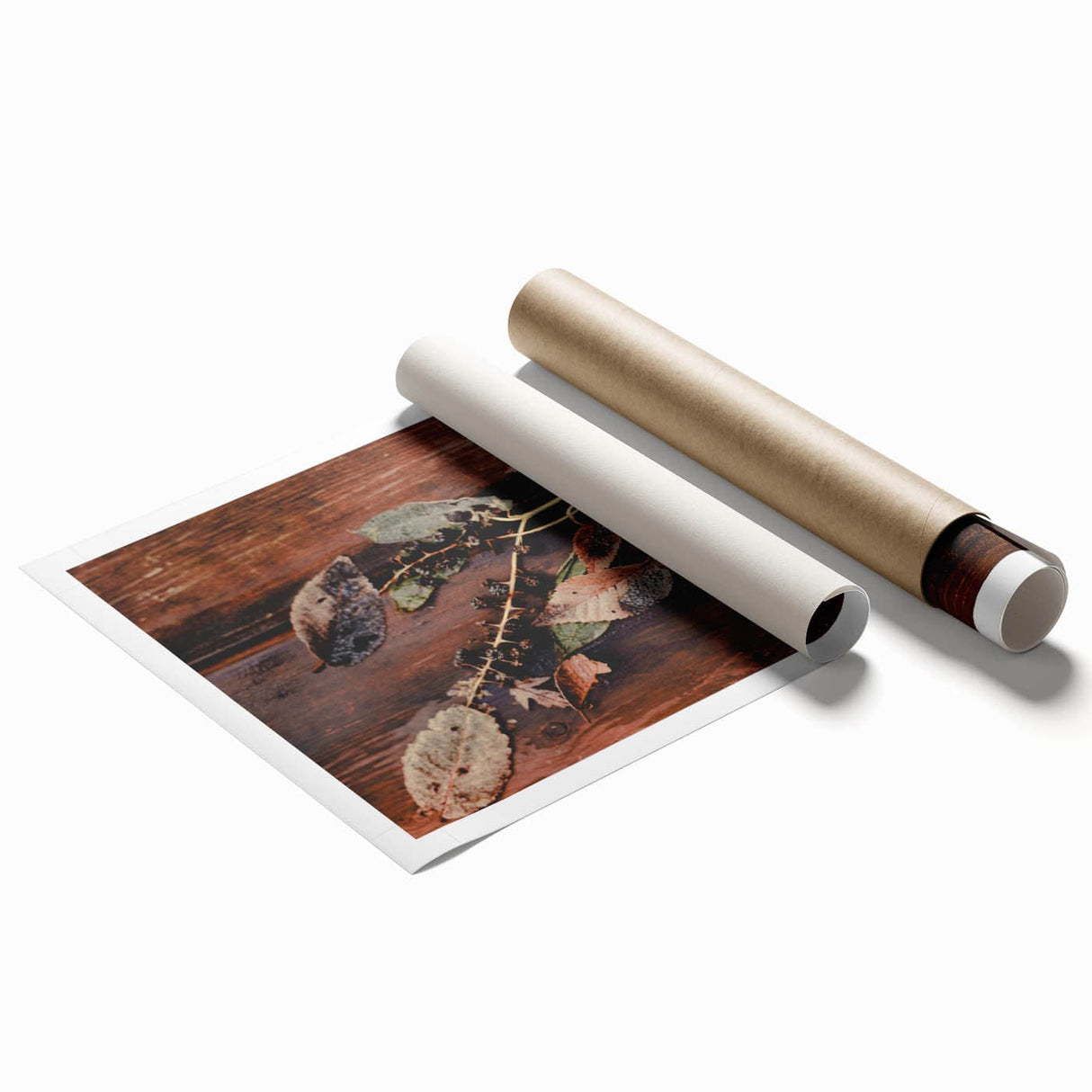 Extra large rolled print depicting vibrant fall foliage in a floral style.