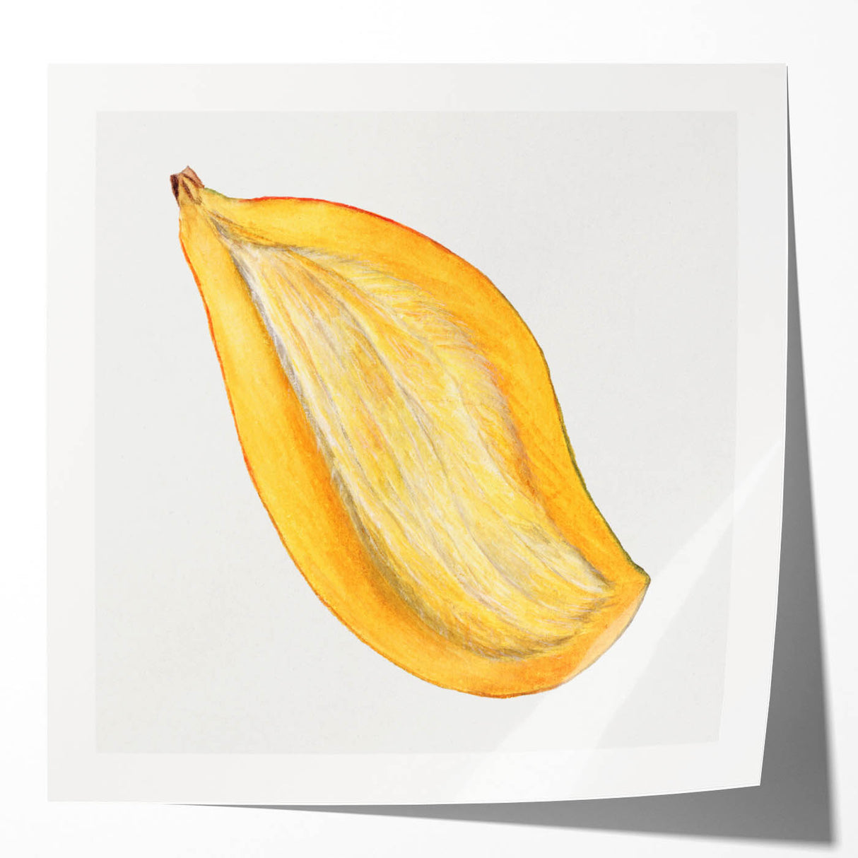 Extra large rolled canvas print featuring an array of vibrant fruits in a realistic style, ideal for dining room wall art.