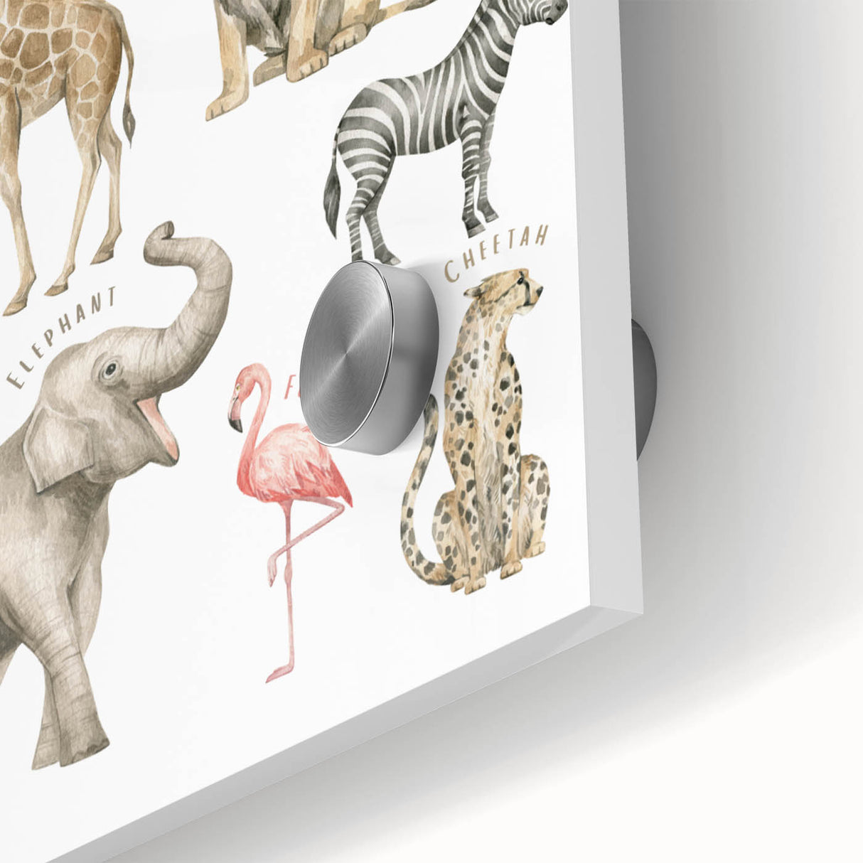Wild Animals Kids Educational Wall Art - Learning Poster for Classrooms